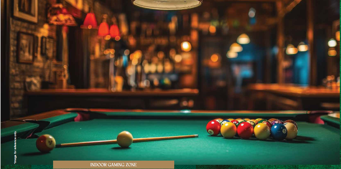 Gaur Aspire Leisure Park 8ball Pool